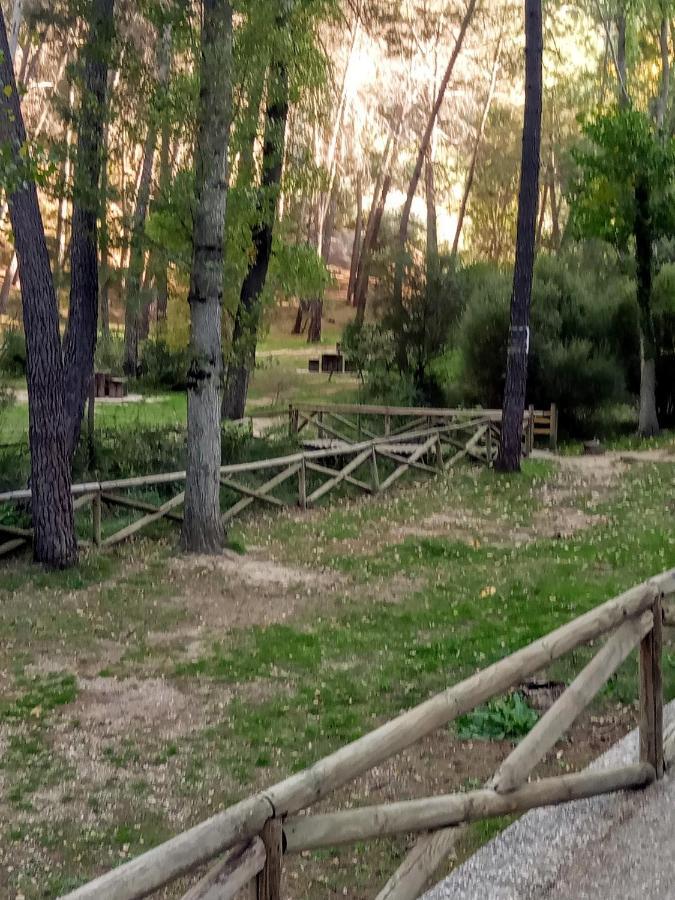Pensjonat Casa Pinos Siles Zewnętrze zdjęcie