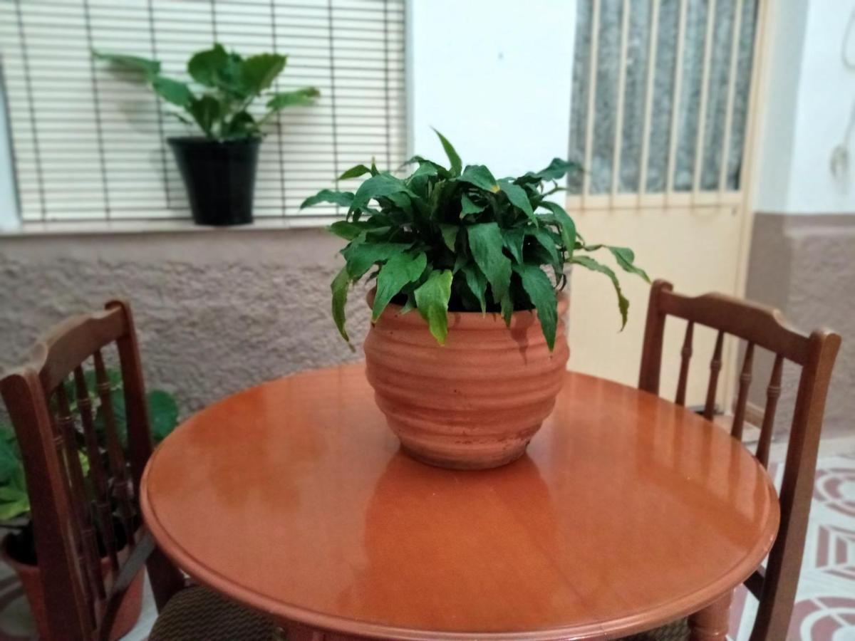Pensjonat Casa Pinos Siles Zewnętrze zdjęcie